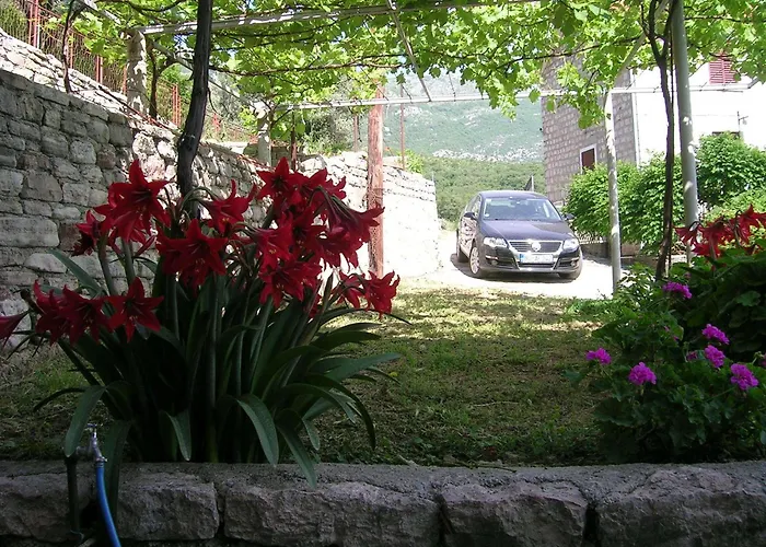 Apartments Midzor